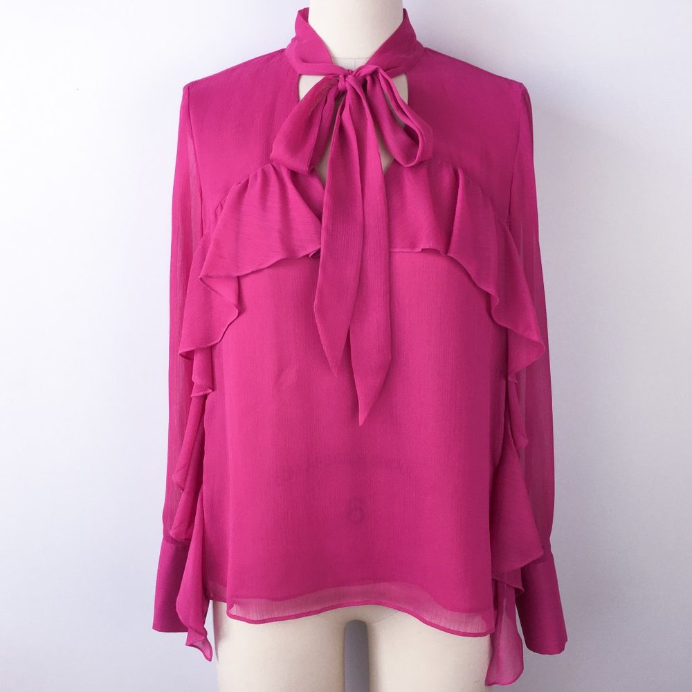Highline Pink Crinkle Chiffon Blouse
